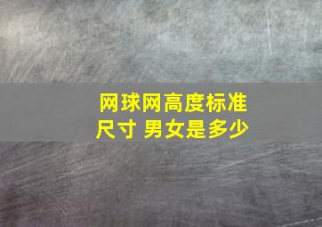 网球网高度标准尺寸 男女是多少